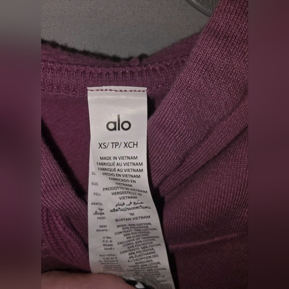 ALO Yoga Matching Set Mulberry,hoodie And Sweatpants - Picture 4 of 8
